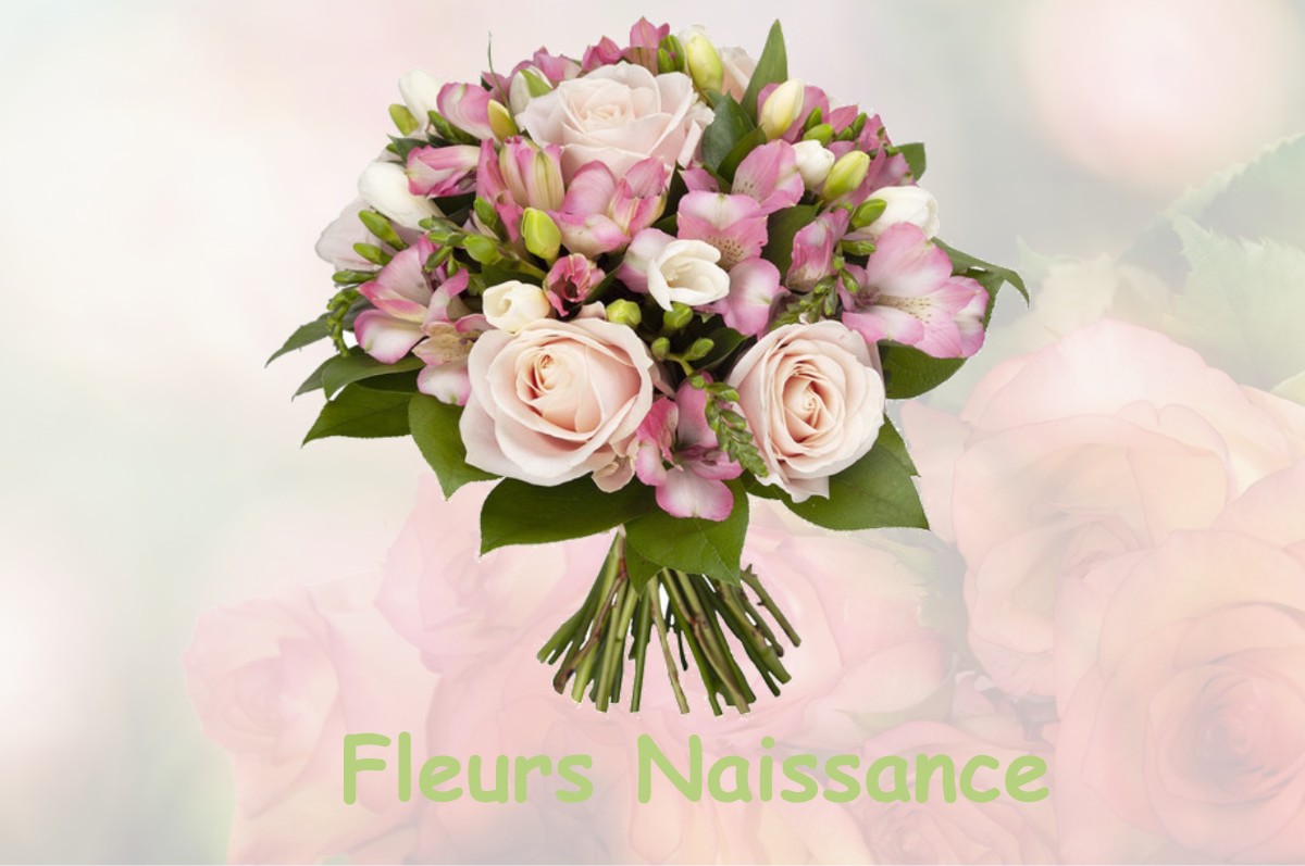 fleurs naissance NEUVILLE-AUX-BOIS