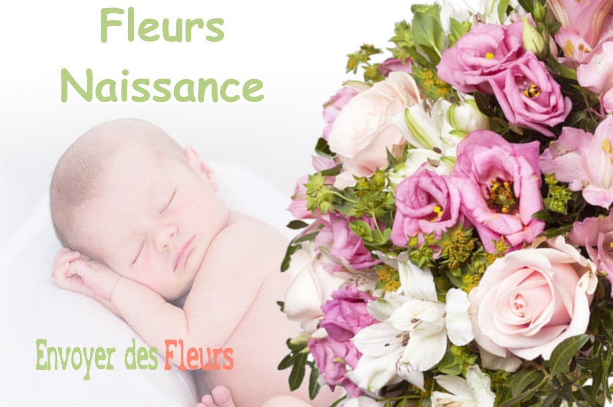 lIVRAISON FLEURS NAISSANCE à NEUVILLE-AUX-BOIS